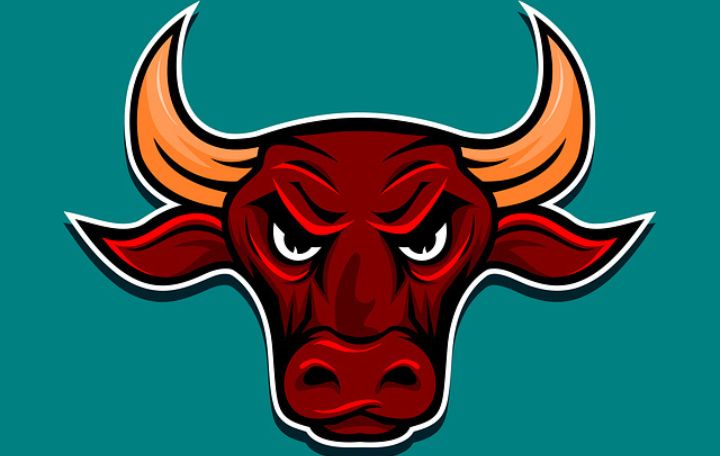 Blog image: Bulls Are Back At Dalal Street